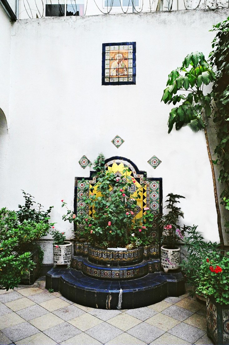 Lush Grenery And Potted Plants In Stylish Mexican Patio - Garden Ideas ...